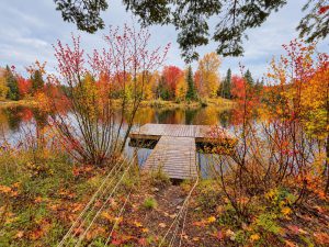 IMG 0198 fall
